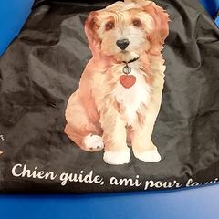 Torba, zgłoszono przez IKEA Saint-Etienne przy użyciu iLost