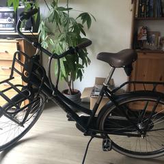 Fiets, amint azt az iLostnak jelentették.