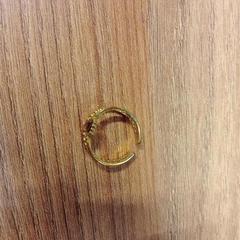 指輪 がiLostで Vrije Universiteit Brussel (VUB) によって報告されました