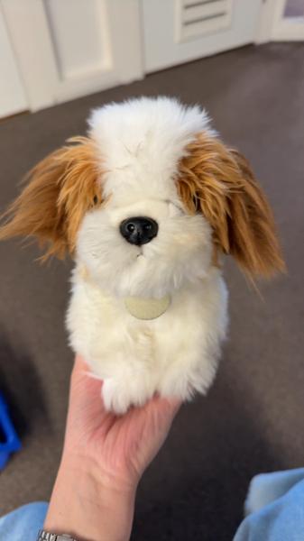 Knuffel