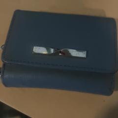 Portfel Van der Heide, zgłoszono przez Jaarbeurs przy użyciu iLost