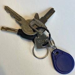 İLost kullanarak Gemeente Rijswijk tarafından bildirildiği gibi Anahtar