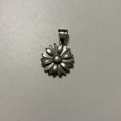 Halsband, rapporterat av Fenix med iLost