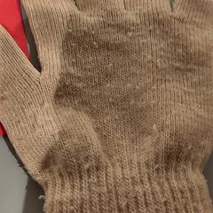 Hanske hansds, som rapportert av Bibliotheek Neude (Utrecht) ved bruk av iLost