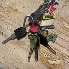 Een bos sleutels がiLostに報告されました