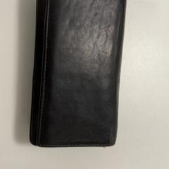 지갑 Wusten, iLost를 사용하여 Fenix에 보고됨