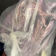 Scarpe Roze, come riportato da ibis Styles Rotterdam Ahoy utilizzando iLost