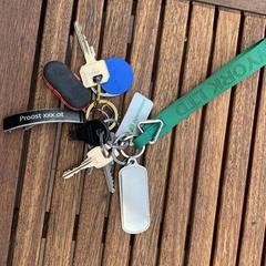 Sleutelbos, amint azt az iLostnak jelentették.