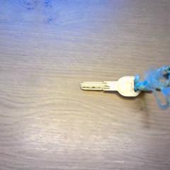Llave zilver, lichtgroen koort, ha sido reportado por Bobbejaanland con iLost