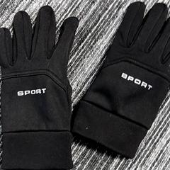 手袋 Zwart がiLostで Arriva Vechtdallijnen によって報告されました