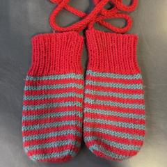 Mitones Rood met grijze strepen, ha sido reportado por Burgers' Zoo con iLost