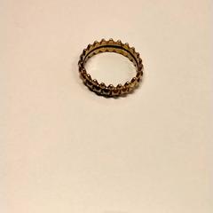 Ring, gemeldet von Gemeente Puurs-Sint-Amands über iLost