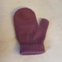 벙어리 장갑 Paars, iLost를 사용하여 DierenPark Amersfoort에 보고됨