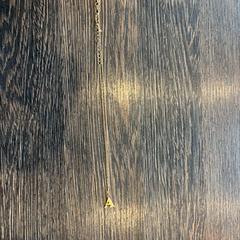 Collaret Goud met letter A, segons ha informat WestCord Hotel Eindhoven mitjançant iLost