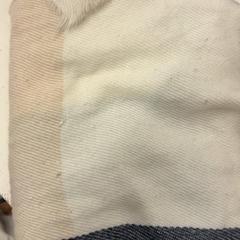 Xaile, como reportado por Het Amsterdamse Winterparadijs utilizando o iLost