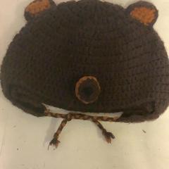 Bonnet beer bruin, a été signalé par Artis utilisant iLost