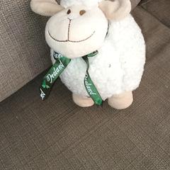 Knuffelschaap, segons s'ha informat a iLost