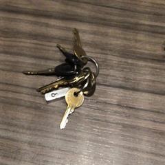 Nyckel, rapporterat av Van der Valk Hotel Zwolle med iLost