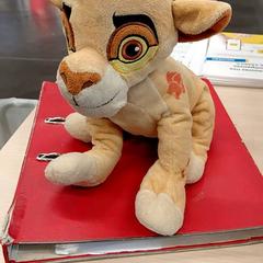 Manteta Peluche le roi lion, segons ha informat IKEA Marseille - Vitrolles mitjançant iLost