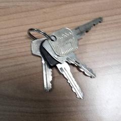 Clau sleutels, segons ha informat Transdev Hoeksche Waard Goeree Overflakkee mitjançant iLost