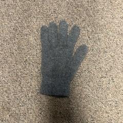 Rukavice, jak nahlášeno Burgers' Zoo pomocí iLost