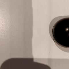 Aurikularrak, gisa salatu by De Efteling iLost erabiliz