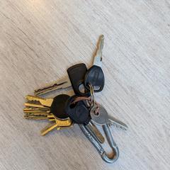 Sleutelbos, as reported to iLost