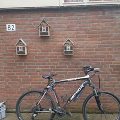 Mountainbike, as reported to iLost