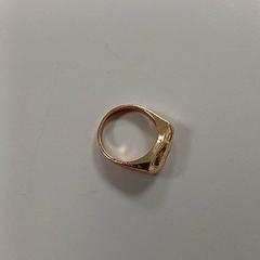 Bague, a été signalé par Padualaan 101 utilisant iLost