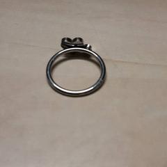 Ringe, som rapportert av Arriva Oost-Brabant ved bruk av iLost