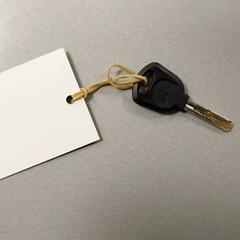 Klucz, zgłoszono przez Regio Limburg - Leuven przy użyciu iLost