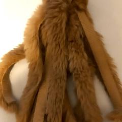 Inktvis, som rapportert av Arriva Limburg Noord ved bruk av iLost