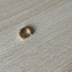 Earring, as reported by Schönbrunn - Schloss & Park using iLost