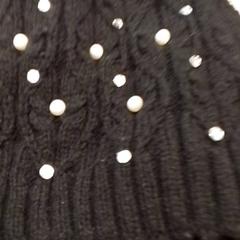 Muts Zwart, zoals gemeld door Qbuzz Fryslân met iLost