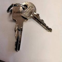 Schlüssel, gemeldet von Gemeente Puurs-Sint-Amands über iLost