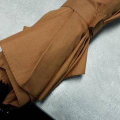 Paraply Bruin, rapporterat av Arriva Friesland / Groningen med iLost