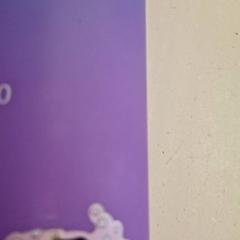 Garrafa, como reportado por HTM utilizando o iLost