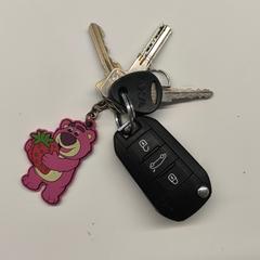 Opel autosleutel met nog  3 andere sleutels, jak nahlášeno Stad Hasselt pomocí iLost