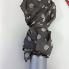 İLost kullanarak Arriva Limburg Zuid tarafından bildirildiği gibi Şemsiye