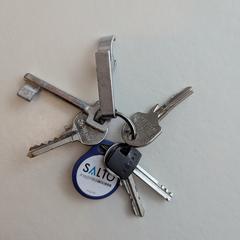 Sleutelbos, jak zgłoszono do iLost