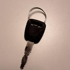 Key, as reported by Diergaarde Blijdorp using iLost