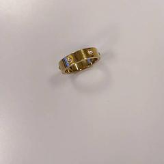 Ring Messing, as reported by Vrije Universiteit Amsterdam using iLost