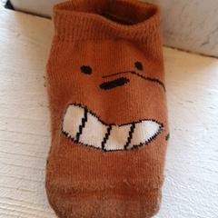 İLost kullanarak DierenPark Amersfoort tarafından bildirildiği gibi Sok