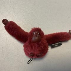 Knuffel Kipling aapje, rapporterat av Breng Arnhem med iLost