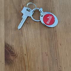 1 sleutel aan hanger, segons s'ha informat a iLost