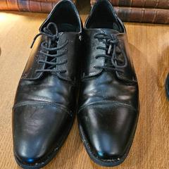 Zapato, segundo informou Groepsaccomodatie Kasteel de Berckt usando iLost