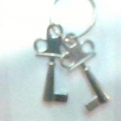 열쇠 Little keys, iLost를 사용하여 MEININGER Hotel Berlin Central Station에 보고됨