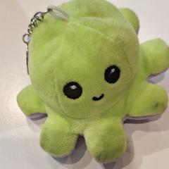 Schlüsselbund, gemeldet von Gemeente Zevenaar über iLost