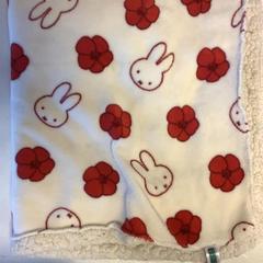 Dekentje, som rapportert av Artis ved bruk av iLost