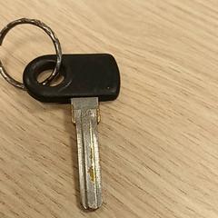 Clé, a été signalé par Qbuzz Fryslân utilisant iLost